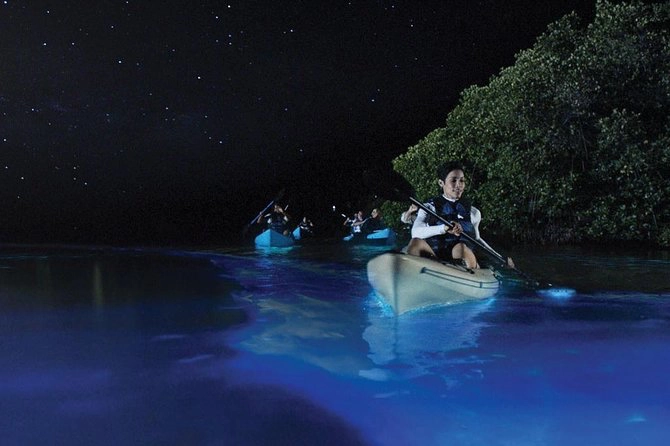  Bioluminescence kayaking in Cancun